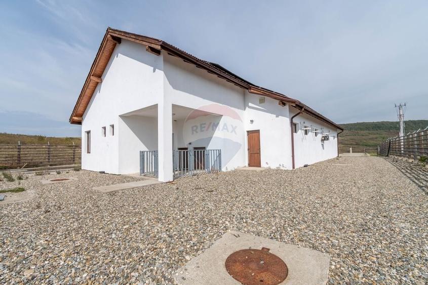 Ferma moderna de porci de vanzare in Curtuiusu Dejului - 17