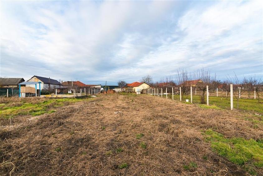 Teren intravilan cu toate utilitatile in Bors - 5