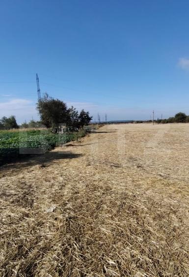 Teren Isalnita intravilan, 2500 mp, toate utilitatile - 1