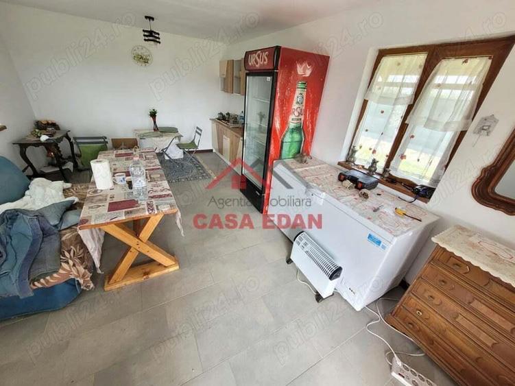 Teren extravilan in Baicoi 10.000mp plantatie mure --80.000e - 4