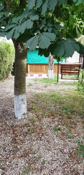 Vanzare 3 case moderne + 3 anexe si 2000 mp teren gradina, pomi in Tuzla la mare - 26