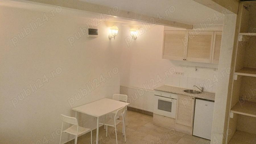 Dr.Felix Titulescu BanuManta Victoriei Parter21mp Camera+chicineta+GrSanitar CurteComuna Proprietar - 4