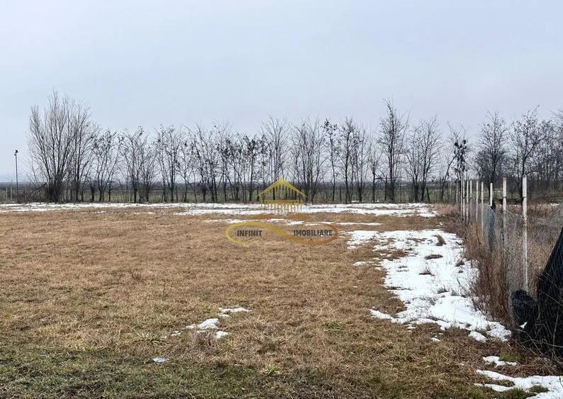 Teren de vanzare Siretu Saucesti Bacau - 7