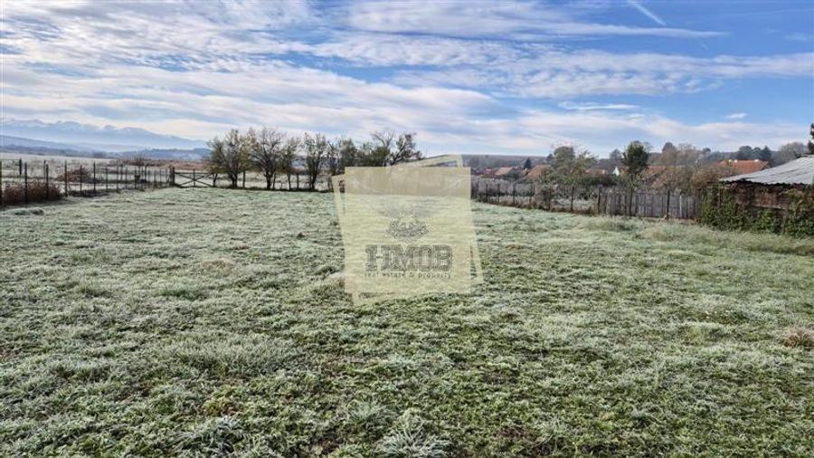 Casa 4 camere cu teren de 1900 mp in comuna Altana - 7