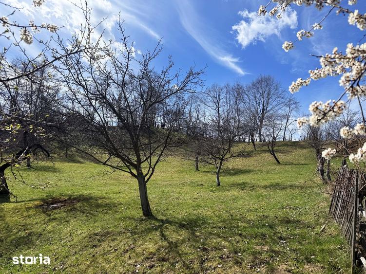 Teren de 2330 mp, în Bran