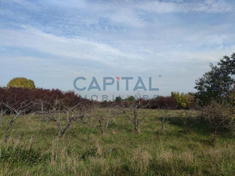 Teren extravilan 2000mp, front 50m, priveliste superba, Feleacu,  Wonderland - 3