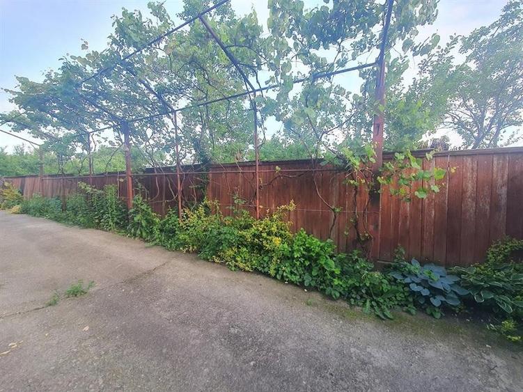 Casă cu 1100mp teren in satul Colun - la 40 km de Sibiu - 7