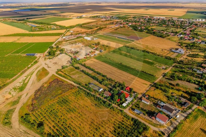 Ferma de cai andaluzi de vanzare - Zadareni - 24