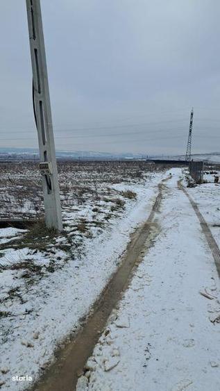 Teren cenura ocolitoare dr tr severin - 3