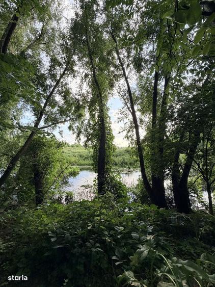 Casa cu piscina si gradina de vis in centrul Domnestiului - 11