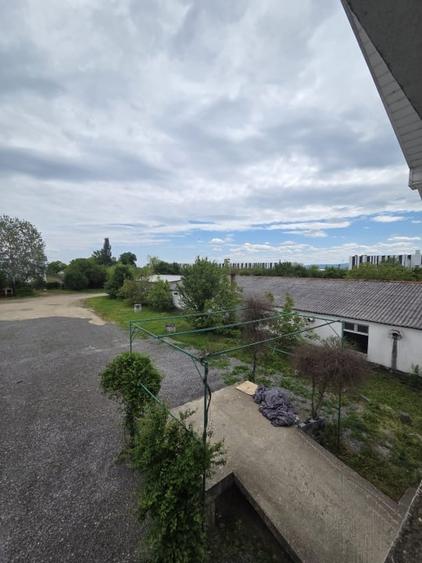 Teren cu hale de vanzare sau inchiriere ideal  investitie - Medies - 7