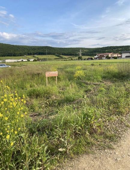 Teren de vanzare gilau 1417 mp - 3