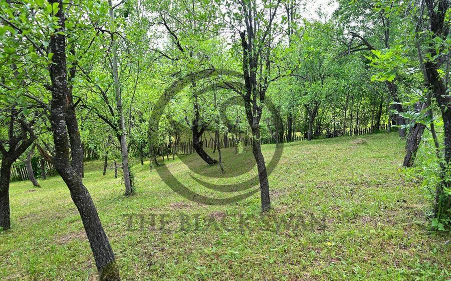 Casa 4 camere de vanzare | Zona linistita | Talea Prahova... - 8