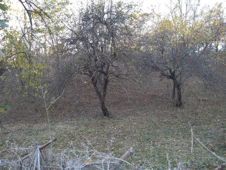 Teren intravilan 3.788 mp, deschidere 39 m, Fieni, sat Costești, jud. Dâmbovița - 6