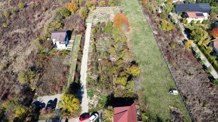 Teren de vanzare in Vladiceasca, 720mp, langa DN1 - Snagov Plaza - 10