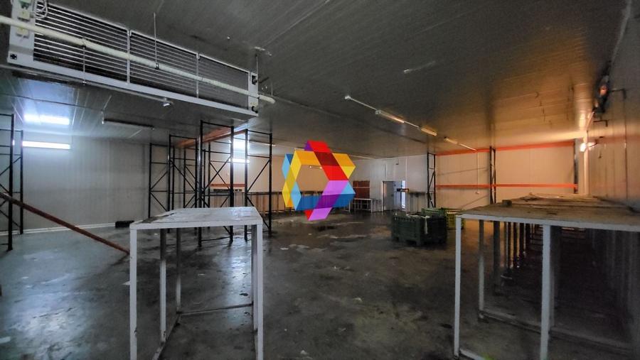 Spatiu industrial - 580 mp  # plus-imo.ro - 6