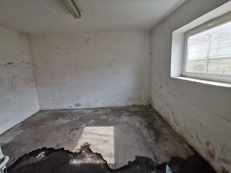 Iosefin Depozit 175 mp 875 euro +TVA - 3