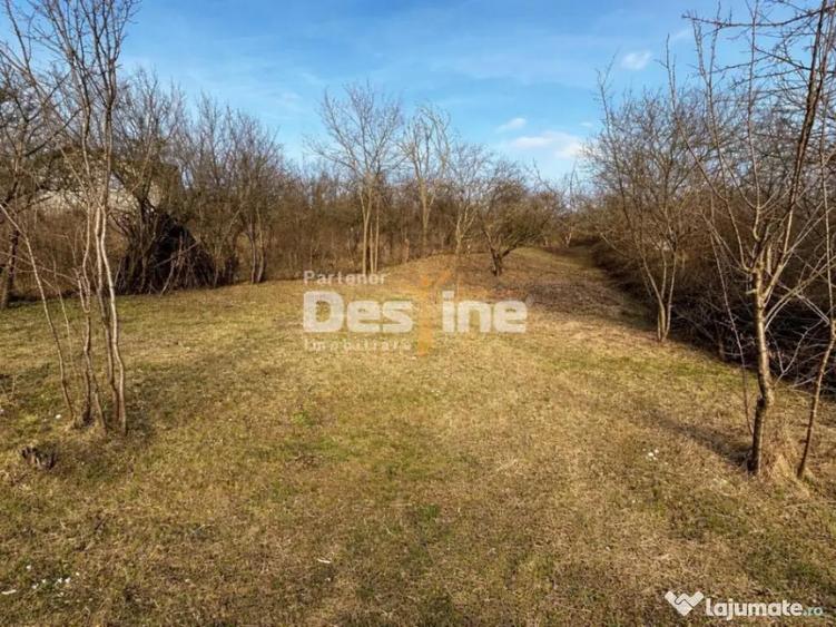 Teren INTRAVILAN, Copou, Viticultori, Ia?i 1451mp - 1