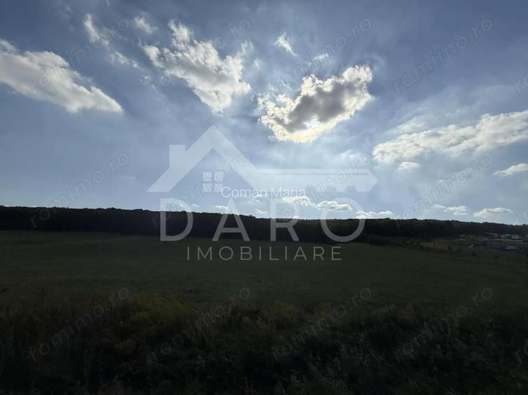 Teren intravilan budiu mic 9700 m2, perfect pentru complex reziden?ial