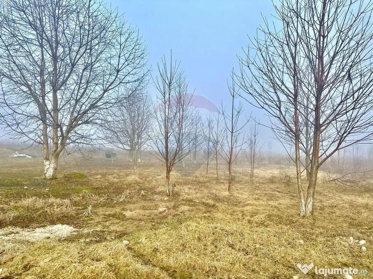 Teren 500mp Turturesti / Strada Principala - 2