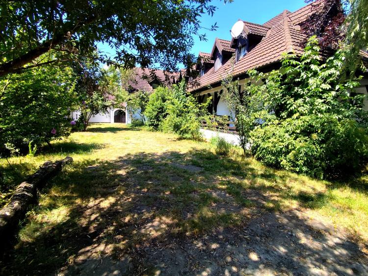 Proprietate autentica cu potential turistic lângă satul Viscri,  judetul Brașov - 41