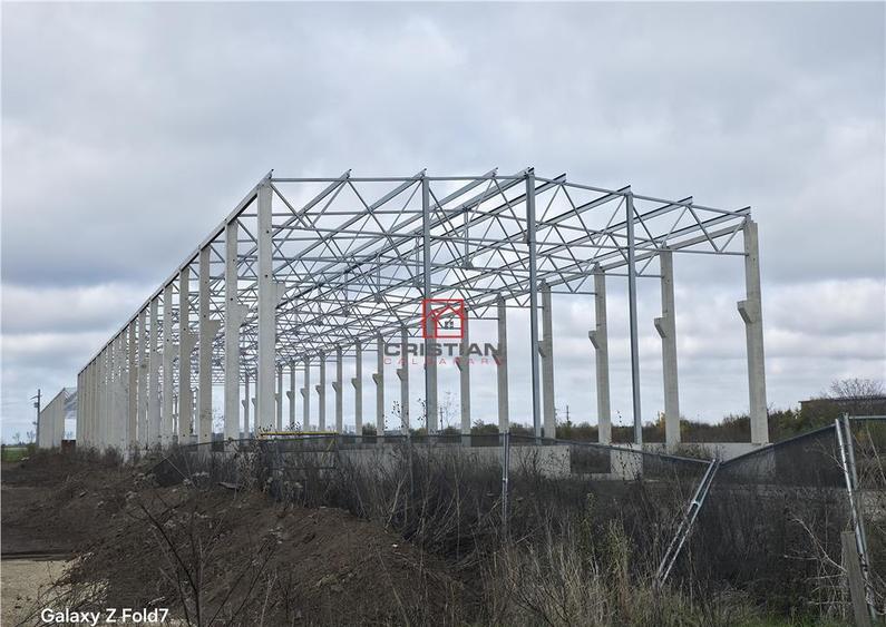 Depozit/hala/spatiu industrial Mogosoaia - Buftea - 7