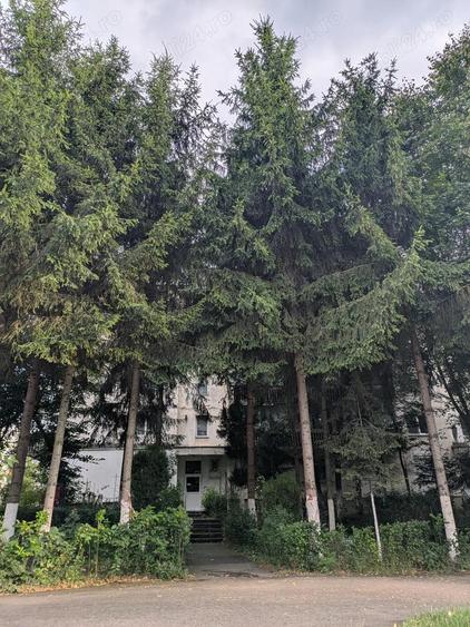 Oferim pentru inchiriere ap.2 camere ,zona centrala ?i lini?tita - 6