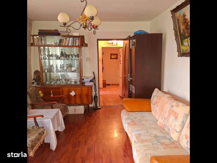 Apartament Brazda - 4