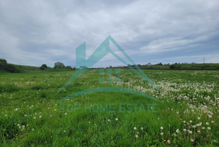 OPORTUNITATE! De vanzare terenuri extravilane in Tureni si Turda! - 4