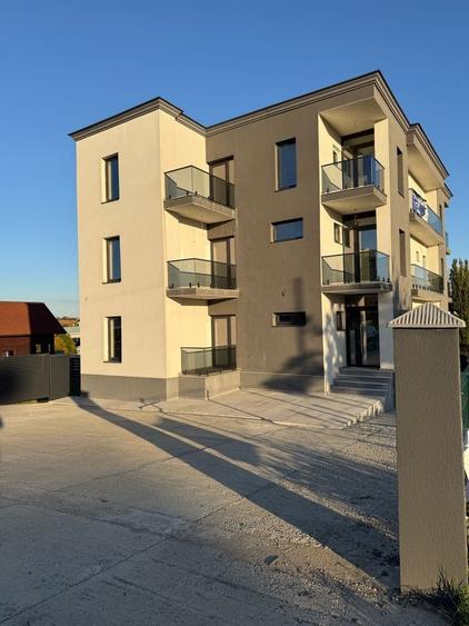 Casă cu 4 camere în Băile Felix