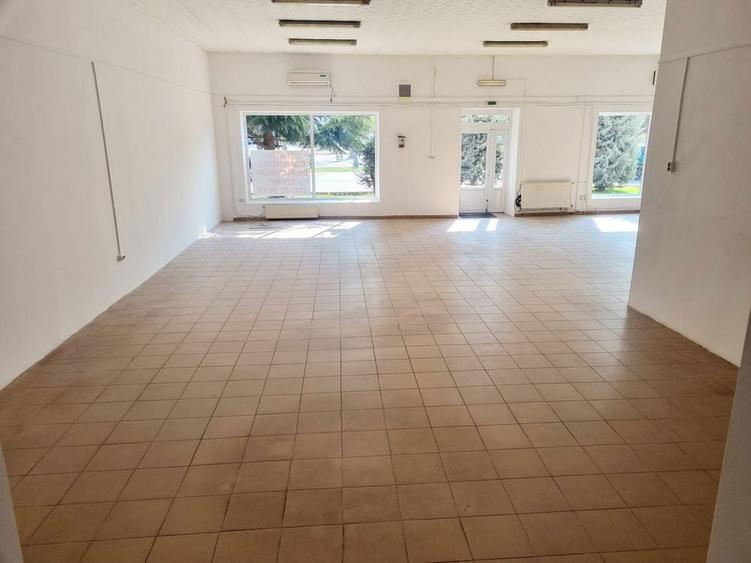 Spatiu comercial de inchiriat - 1