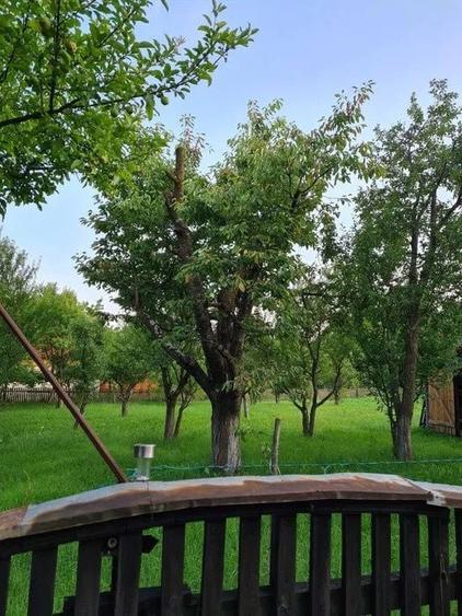 Casa de vanzare Bistra Muresului - 5