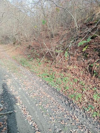 Vand/Schimb teren in zona Raului Mare, Retezat - 7