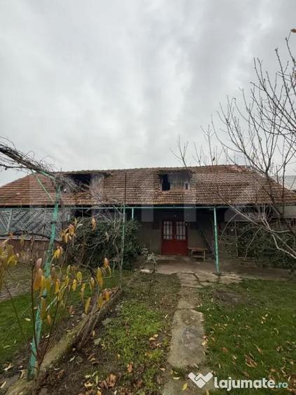 Proprietate completa in Sacuieni- Doua Case + Anexe - 4