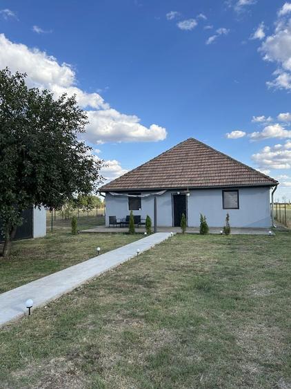 Vand casa Sanpetru Mic 33km de Timisoara - 8