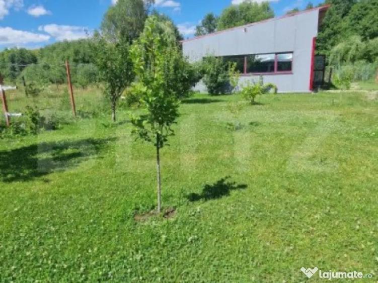 Casa 5 camere Vulcan,teren 1600 mp - 11