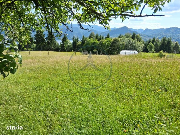 Teren Colibita 1346 mp - 5