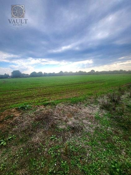 Teren Lucianca - Butimanu - deschidere la DN - 1