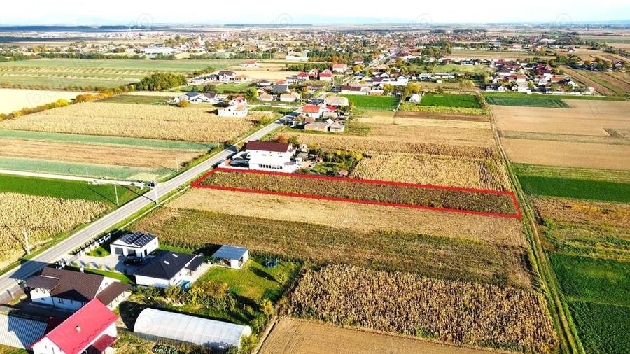 Teren intravilan de vanzare 3000 mp, Botiz, str. Sirul Mare, la doar 7 km de centrul Satu Mare - 7