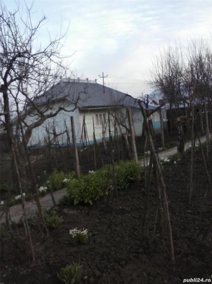 vand casa Sat Nou Berezeni - 4