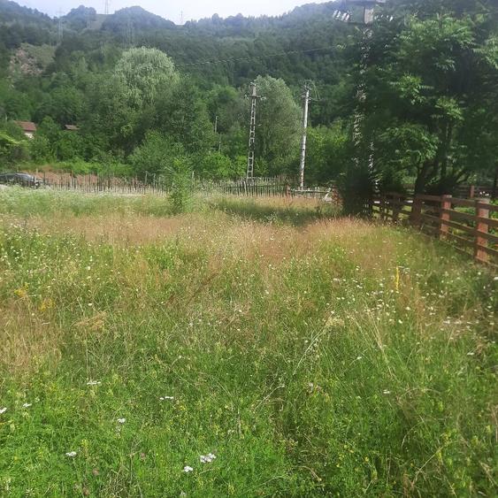 Teren de 1081 mp, în Malaia