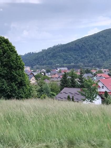 Vând lot pentru casă  sau cabană  - 4