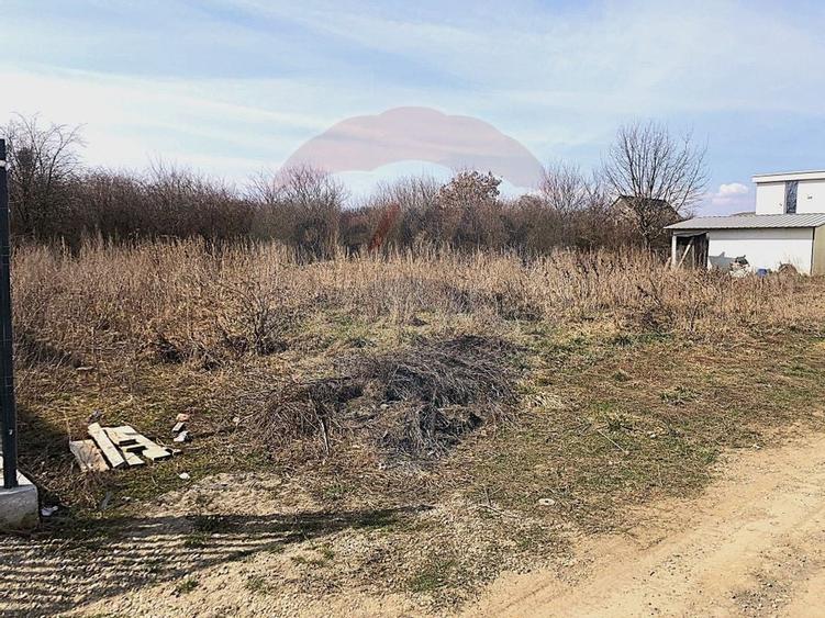 Comision 0% | Teren Intravilan Sanpetru | Strada Gutuiului | 500 mp | - 3