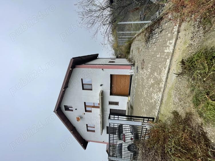 Casa Teghes-Domnesti - 2