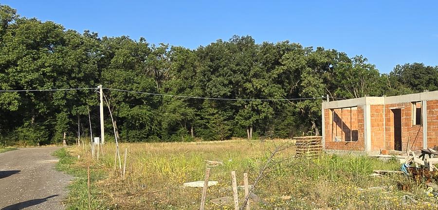 Casa Gradistea Langa Padure, Parter din Caramida Phoroterm Cu teren 500 Mp - 9