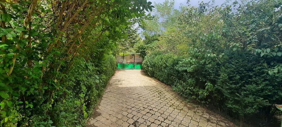 Vânzare proprietate deosebită în satul Găgeni, comuna Păulești, județul Prahova - 11