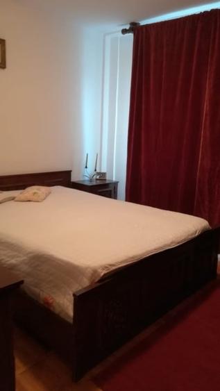 Drumul Taberei - Favorit-  Pet Friendly - 1