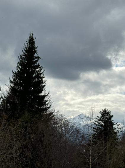 Casa de vacata Predeal Trei Brazi - 15