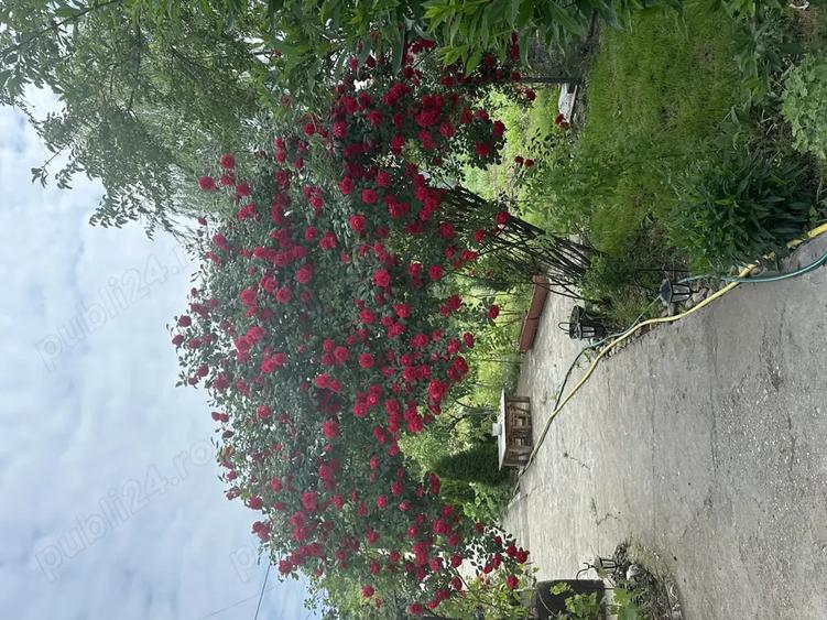 Casa de vanzare - 10