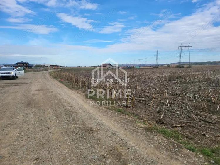 Teren de vanzare in Oarda de Jos , 8300 mp din care 2700 mp intravilan